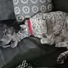angelaosborn263 - @angelaosborn263 - TikTok