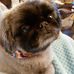 Angela Osmond - Facebook