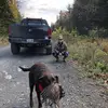 Angela Packard - @mainegirl2077 - TikTok