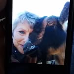 Angela Paddock - @psybuffalo - Instagram