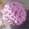 Angela Petrie - @angela.petrie6 - TikTok
