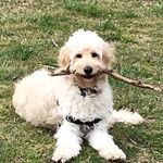 Angela Faggart Pickle - @angela_pickle74 - Instagram
