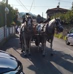 Angela Pieretti - Facebook