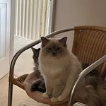 AngelaPinder - @angelapinder79 - Instagram