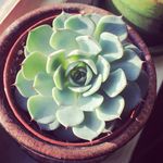 Angela R. Plourde - @angelaplourdemassage - Instagram