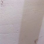 Angel Primus - @angel.primus.5 - Instagram
