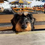 Angela Pütz - Facebook