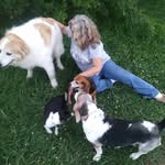 Angela De Haan Quick - @dogsgalore4 - Instagram