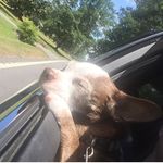 Angela Raby Brown - @angela111brown - Instagram
