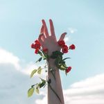 Angela Ricca - @krios53 - Instagram