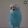 Angela Rice783 - @angelarice42 - TikTok