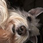 Angela Dinwiddie Ricks - @ande_ricks - Instagram