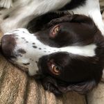 Angela Rowley - @rowley_angela - Instagram