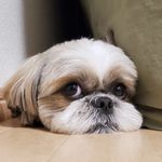 Angela Ruff - @angela.ruff64 - Instagram