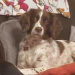 Angela Rumble - @pollie141 - Instagram