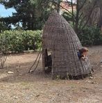 Angela Saba - Facebook