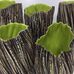 Angela Sample Ceramics - Facebook