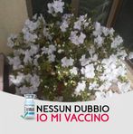 Angela Sapone - Facebook