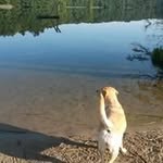 Angela Scheurich - @angelascheurich - Instagram