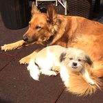 Angela Schimpf - @angela.schimpf.16 - Instagram