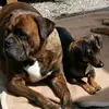 Angela Jörg Schoenhoff - @angela.jrg.schoen - TikTok