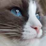 Angela Schoen - @ajmzipper - Instagram