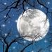 Angie Schoen - Facebook