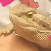 angelaschoonhoven - @angelaschoonhoven - TikTok