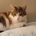 Angela Sheller - Facebook