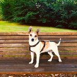 Angela Schuster - @angela.schuster.589 - Instagram