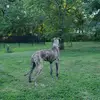 Angela Schweizer - @fancy21784 - TikTok