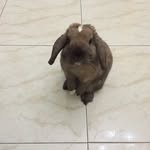 Angela Scimone - @sciang - Instagram