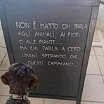 Angela Scimone - Facebook