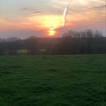 Angela Scully - @warburton259 - Instagram