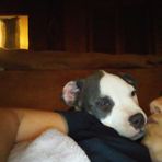 Angela Seabaugh - Facebook