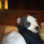 angela seabaugh - @angelaseabaugh - Instagram