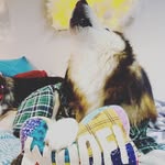 Angela Seals - @mrmallymax - Instagram