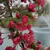 Angela Seger876 - @angelaseger876 - TikTok