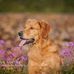 Angela Seger - Facebook