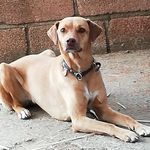 Angela Seitzinger - @angelaseitzinger - Instagram