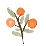 angela | self-care maven | women’s wellness warrior - @herclementinecollective - Instagram