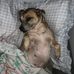 Angela Hinshaw Silvers - Facebook