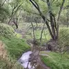 angelawissink740 - @amcdub07 - TikTok