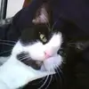 angelastackhouse4 - @angelastackhouse4 - TikTok