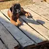 Angi Steinbrecher - @angi.steinbrecher - TikTok