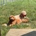 Angela Suttle - Facebook
