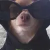 Dolla - @iamangieesteff - TikTok