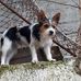 Angela Tedone - Facebook