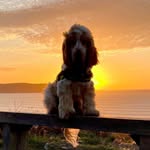 Angela Templeman - @angelat1310 - Instagram