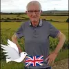 Angela Templeman - @angela.templeman - TikTok